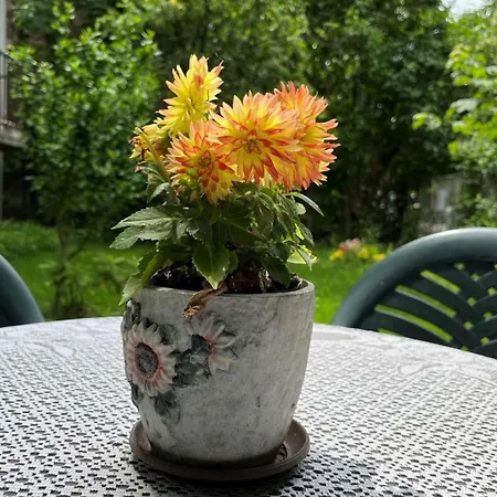 River's House, Free Parking! * 索菲亞