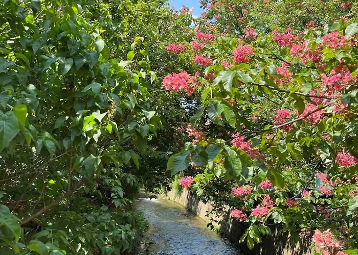 River's House, Free Parking! Sofia