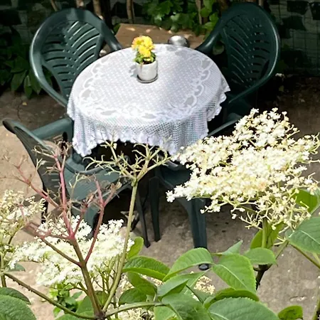 River's House, Free Parking! 아파트