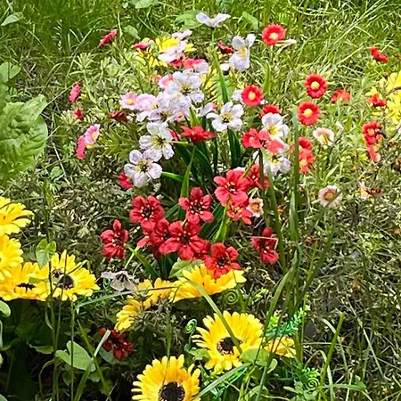 River's House, Free Parking! 아파트 *