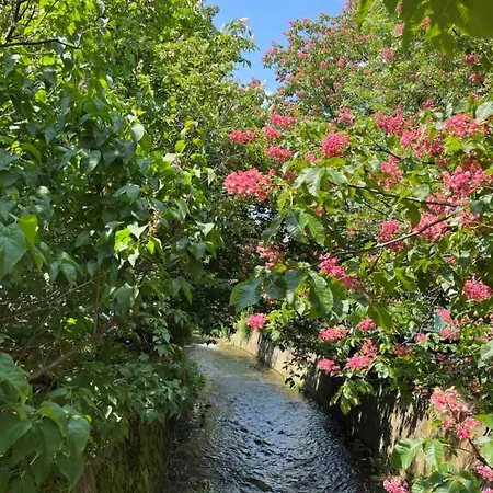 River's House, Free Parking! 소피아